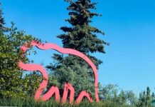 Falling for Grande Prairie: History, Heritage, and a Caboose to Remember